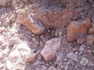 photo thumbnail #14