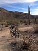 photo thumbnail #4
