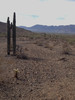 photo thumbnail #10