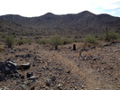 photo thumbnail #11