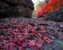 photo thumbnail #2