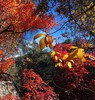 photo thumbnail #12