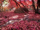 photo thumbnail #14
