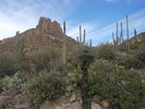photo thumbnail #3