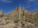 photo thumbnail #5