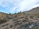 photo thumbnail #13