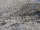 photo thumbnail #15