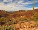 photo thumbnail #10