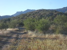 photo thumbnail #2