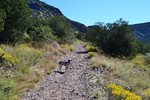 photo thumbnail #1
