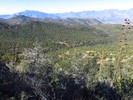 photo thumbnail #1