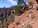 photo thumbnail #5