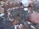 photo thumbnail #14