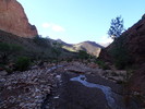 photo thumbnail #15