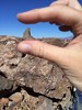 photo thumbnail #6