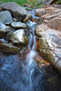photo thumbnail #12