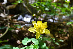 photo thumbnail #14