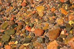 photo thumbnail #15