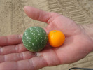 photo thumbnail #13