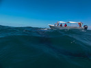 photo thumbnail #14