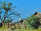 photo thumbnail #1