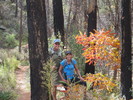 photo thumbnail #2