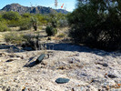 photo thumbnail #11