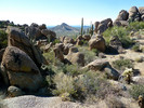 2013-11-13 :1: Cholla Mountain via Browns Ranch - MSP :: FLYING_FLIVER