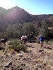 photo thumbnail #3