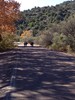 photo thumbnail #2