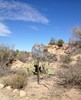 photo thumbnail #5