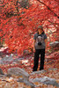 photo thumbnail #12