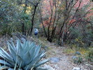 photo thumbnail #2