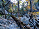 photo thumbnail #6