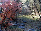 photo thumbnail #13