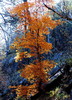 photo thumbnail #15