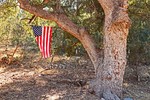 2013-11-13 :2: Cherry Creek Road FR 203 :: AZLumberjack
