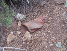 photo thumbnail #7