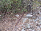 photo thumbnail #12