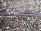 photo thumbnail #14