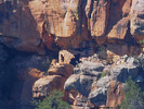 photo thumbnail #5