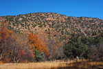 photo thumbnail #7