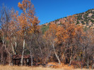 photo thumbnail #9
