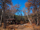 2013-11-13 :2: Cherry Creek Road FR 203 :: Oregon_Hiker