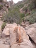 photo thumbnail #6