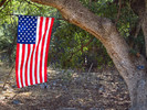2013-11-13 :2: Cherry Creek Road FR 203 :: Grasshopper
