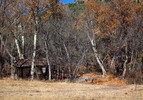 photo thumbnail #10