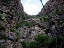 photo thumbnail #6