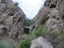 photo thumbnail #11