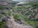 photo thumbnail #12